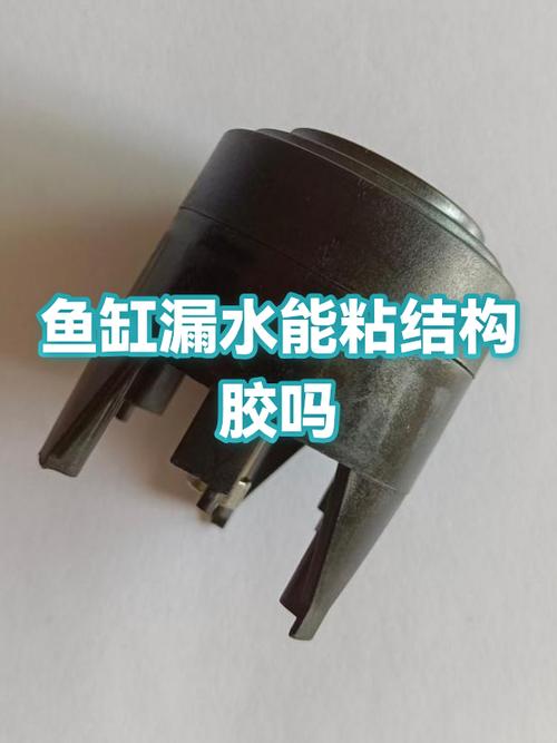 结构胶能不能粘鱼缸