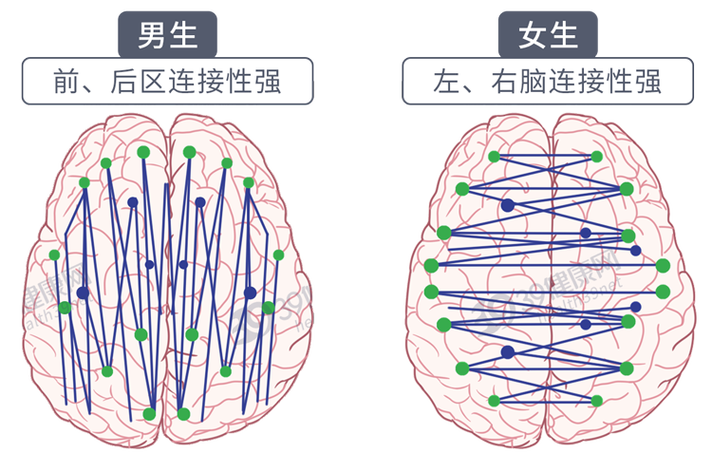 拥有男性大脑的女人