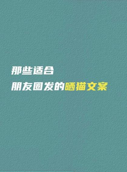 卖猫文案怎么发吸引人
