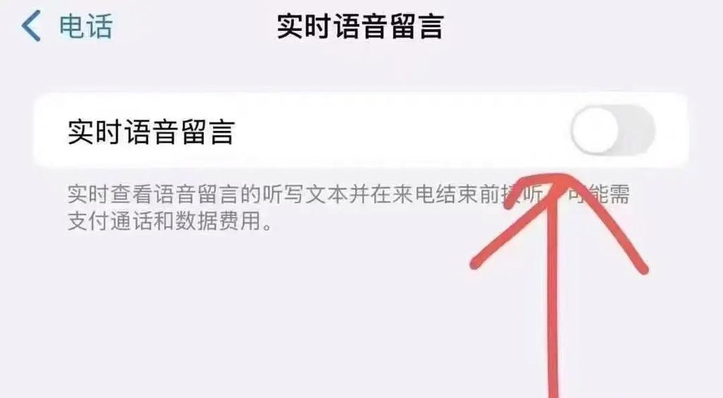 ios18突然多了个语音留言收费吗