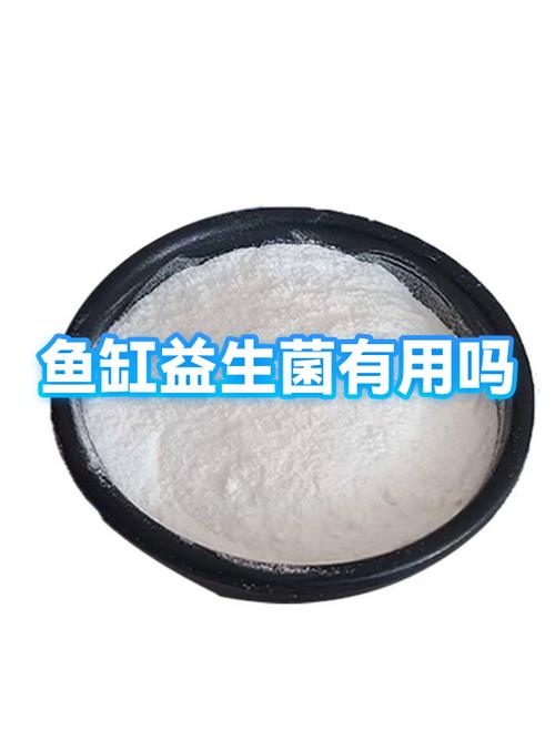 鱼缸有必要放益生菌吗