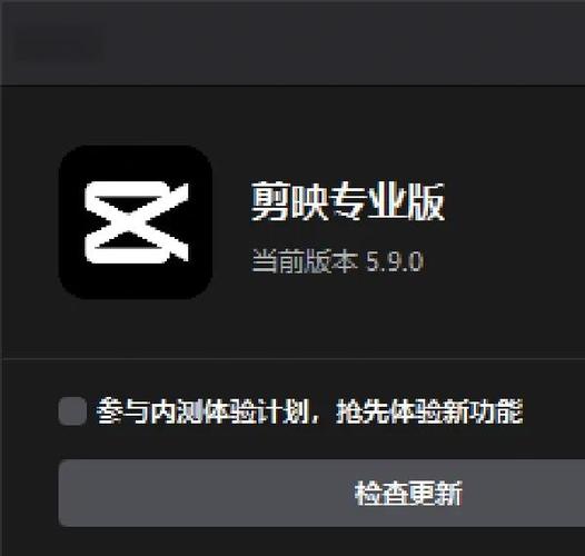 剪映专业版bug