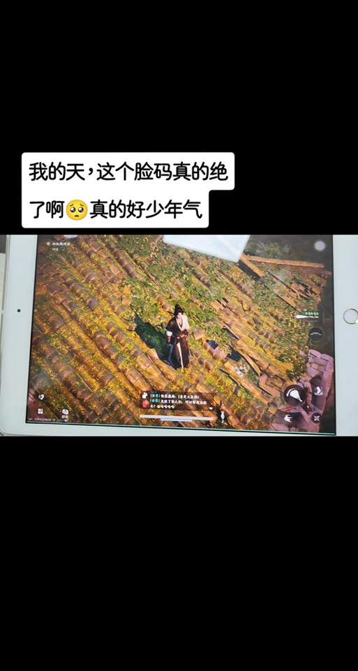 2026超绝下颚线捏脸码