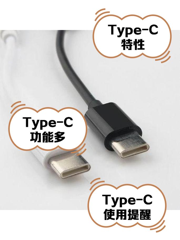 typec充电器接口图片