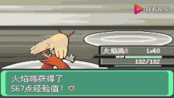 绿宝石火焰鸡成长率是多少
