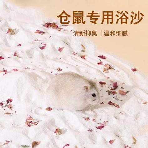 仓鼠多久不用浴沙会死