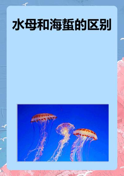 水母和海蜇的区别