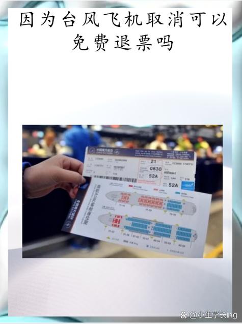 飞机退票手续费2026