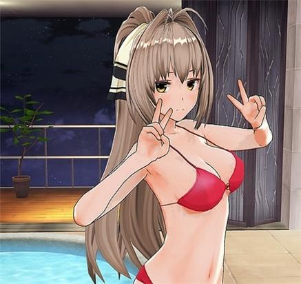 定制女仆2免费安卓下载