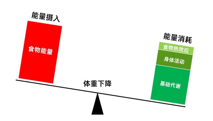 减肥能量守恒定律