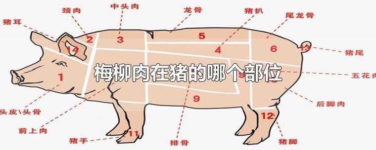 梅花肉在猪的哪个部位