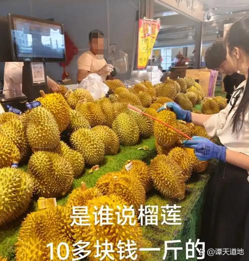 榴莲现在的价格多少钱