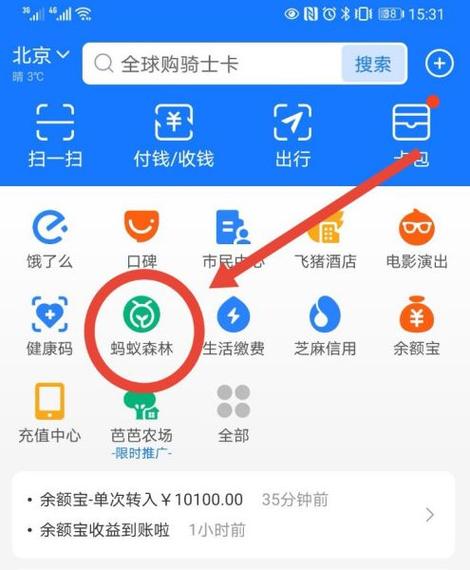 手机号停用支付宝还能用吗
