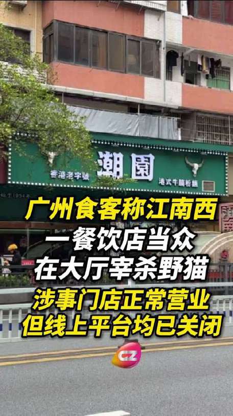 广州一餐厅员工大堂宰杀野猫