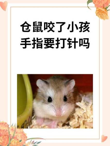 仓鼠爪子划破皮肤要打针吗