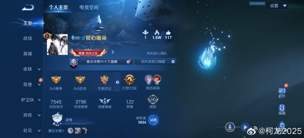 王者荣耀id网页查战绩