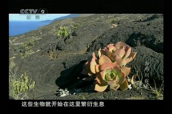 纪录片寰宇视野全集