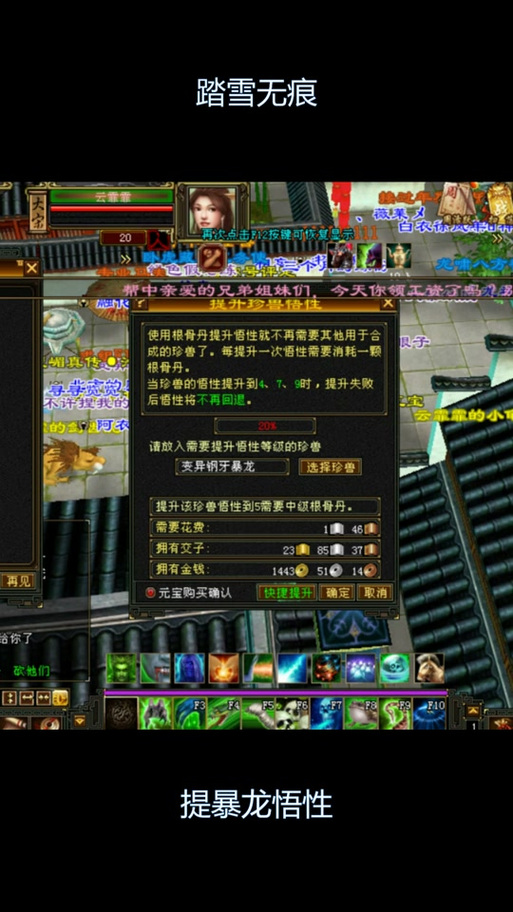 提悟性心得天龙八部2的玩法攻略