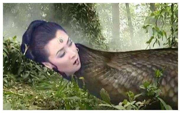 女人身后有蟒仙的长相