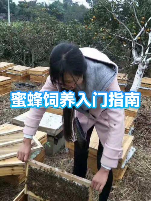 我的世界经验蜜蜂吃什么