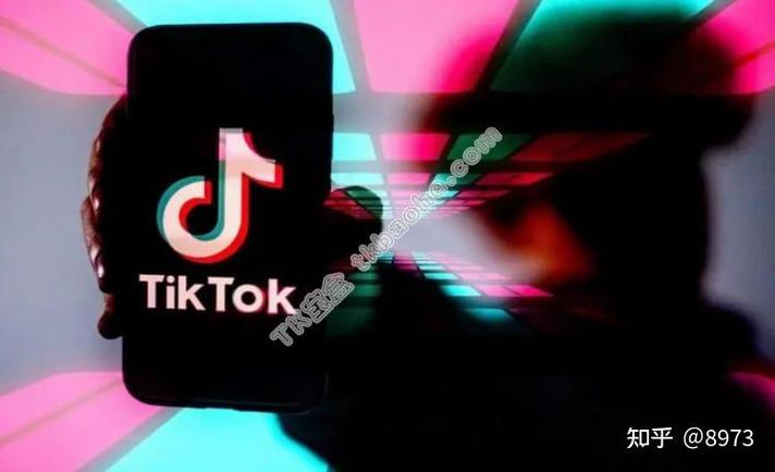 tiktokcom官网登录入口