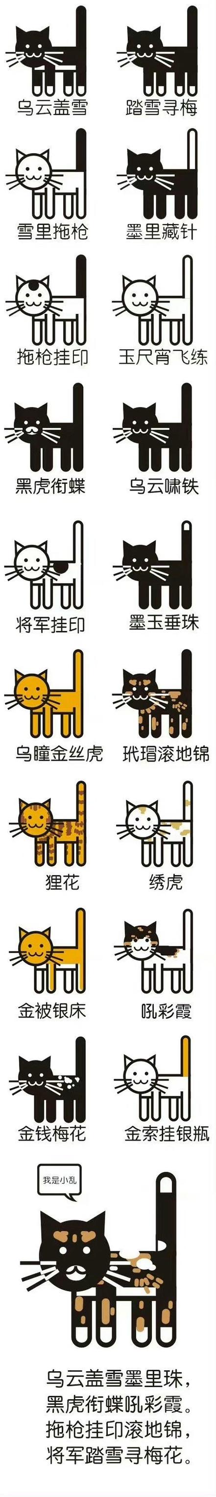 男生称呼女生小猫咪