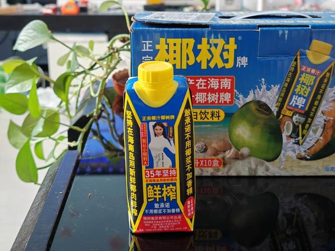 十大品牌椰子汁排行榜