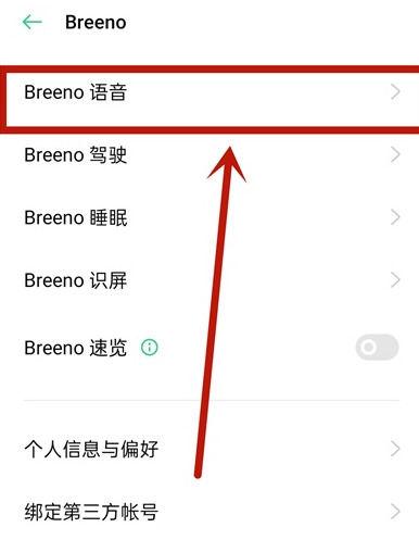 ipad语音提示怎么关闭