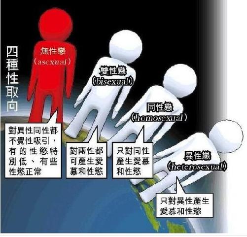 性取向q是什么意思