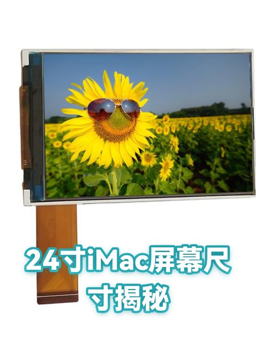 24寸电视机长宽尺寸
