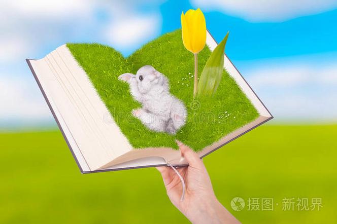 打开有兔阅读