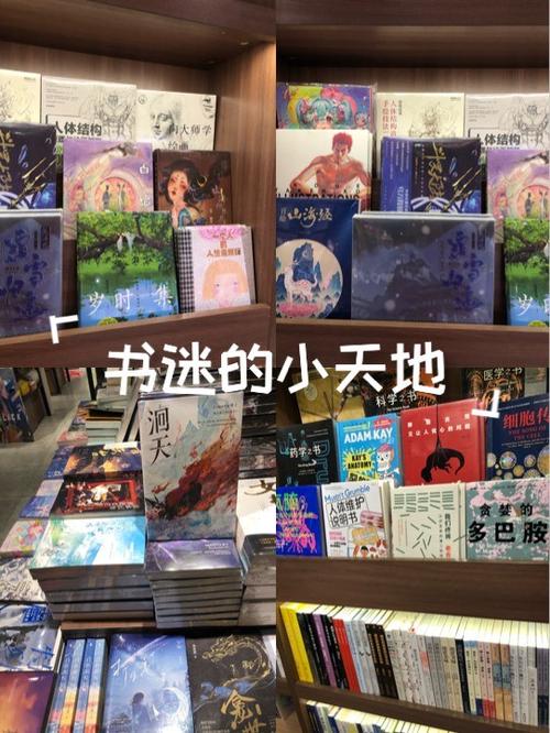 书迷最新版下载