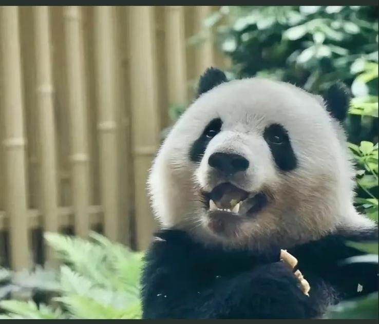 中途开关是什么样子的