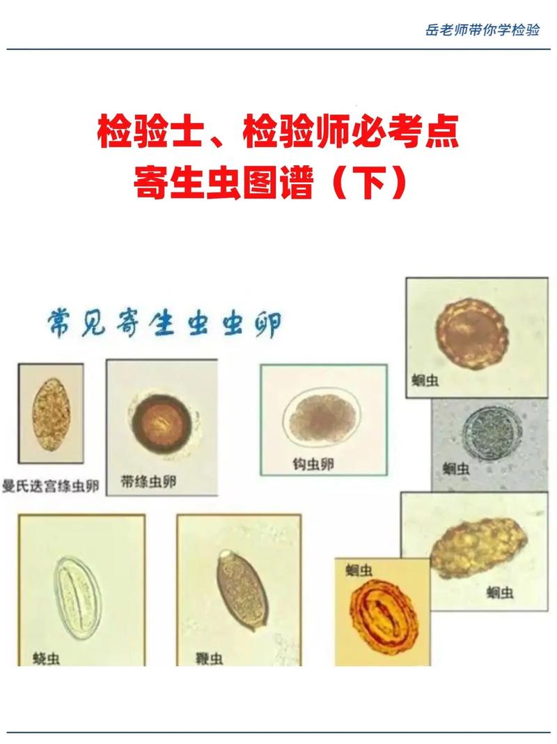 逃逸寄生虫mc百科