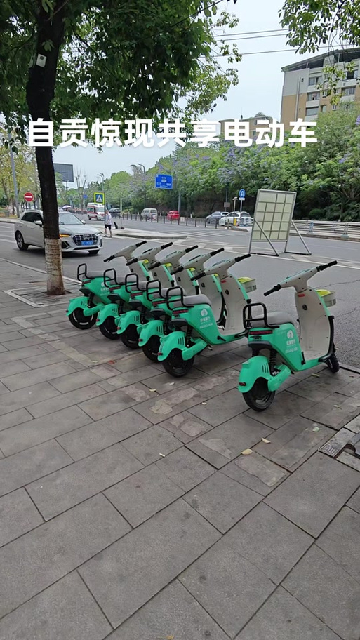 嘉佰达小象电动旧版