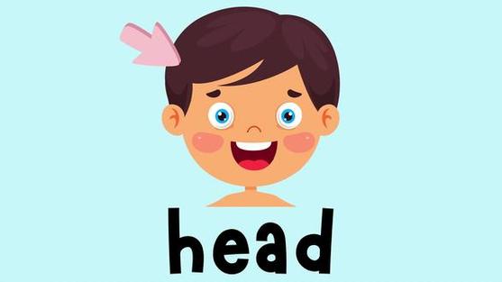 欢乐儿歌HeadShouldersKnees