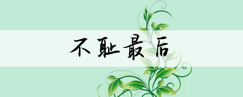 成语不耻