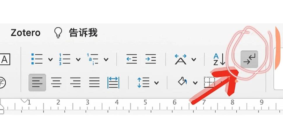 word如何删除分节符