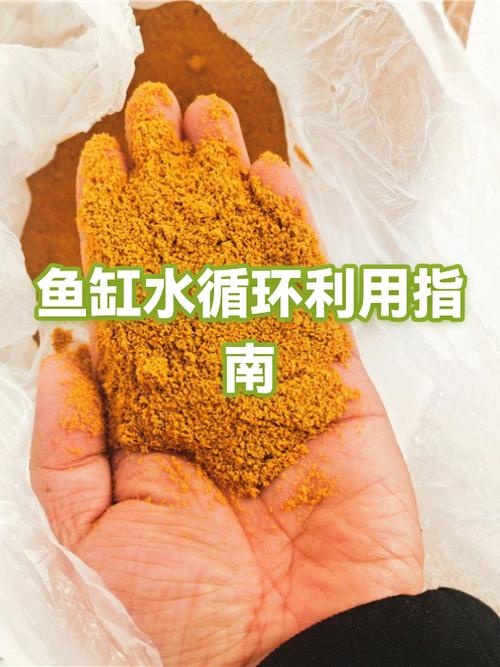 鱼缸晚上关掉水循环可以吗