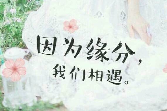 散文缘分原文在线阅读