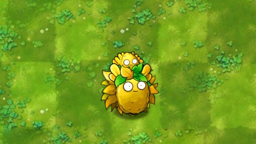pvz