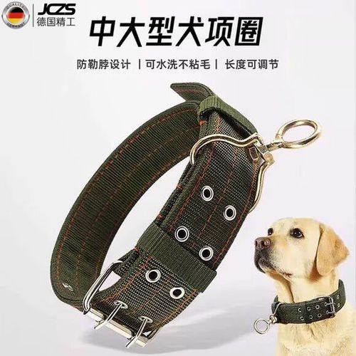 狗绳牵引绳和脖套