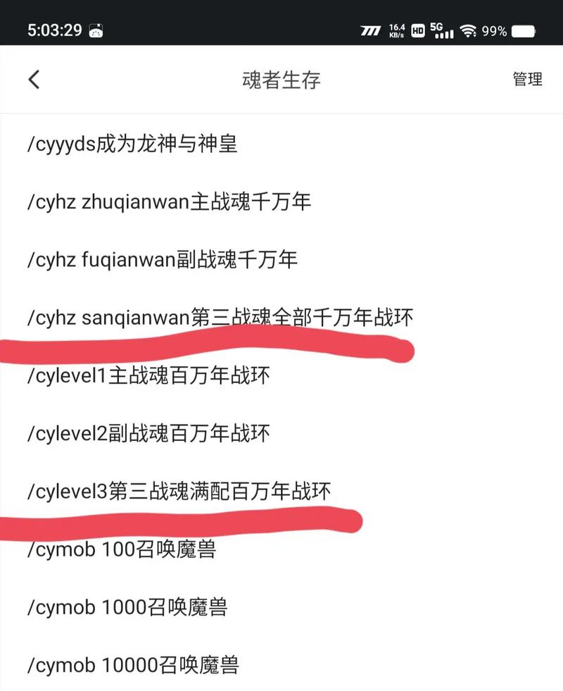 我的世界魂师生存指令
