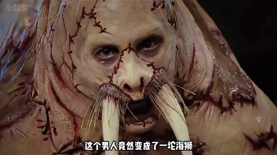 海狮影评
