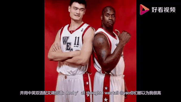 姚明和奥尼尔的技术水平比较