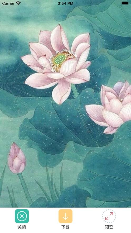 wallpaper开机随机壁纸