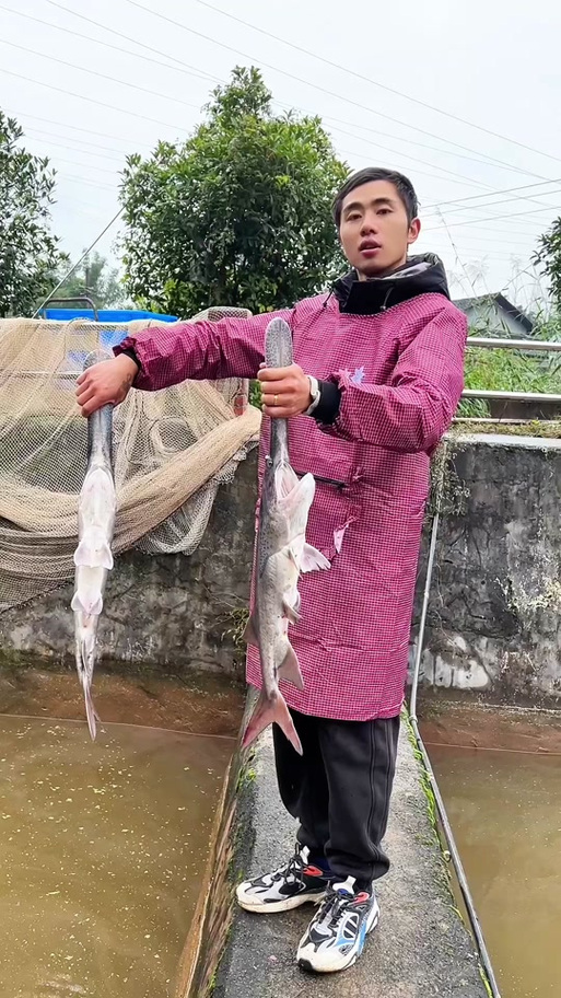 鱼批发从哪里进货最便宜