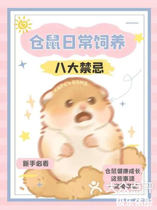 仓鼠饲养八大禁忌