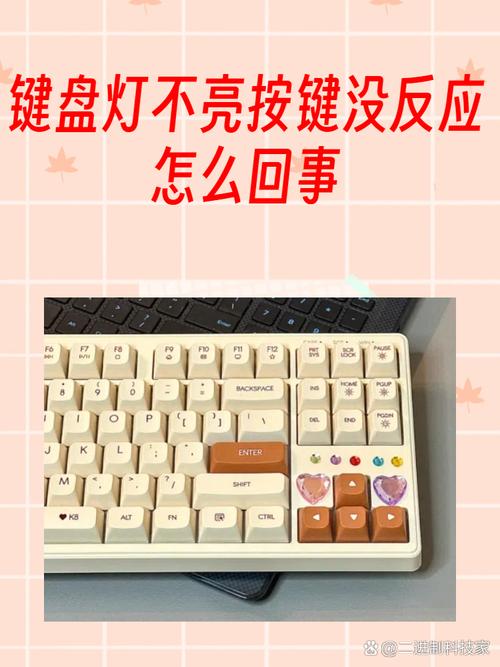 键盘num灯不亮按键无反应