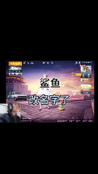 和平精英鲨鱼id
